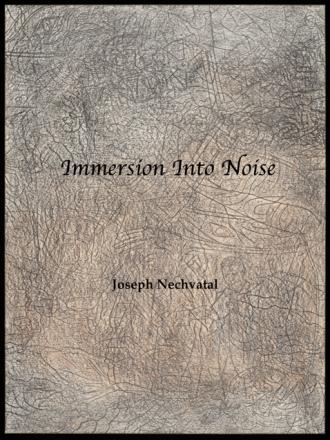 Immersion Into Noise
